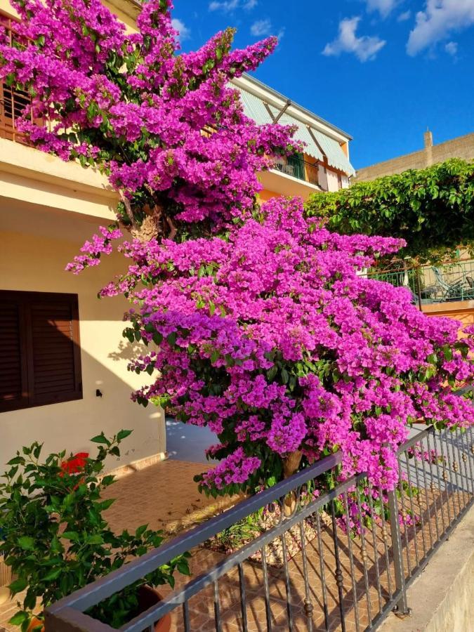 Apartman Ruza Podgora Exterior foto